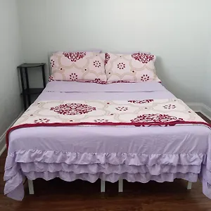  Guest house Rooster United States